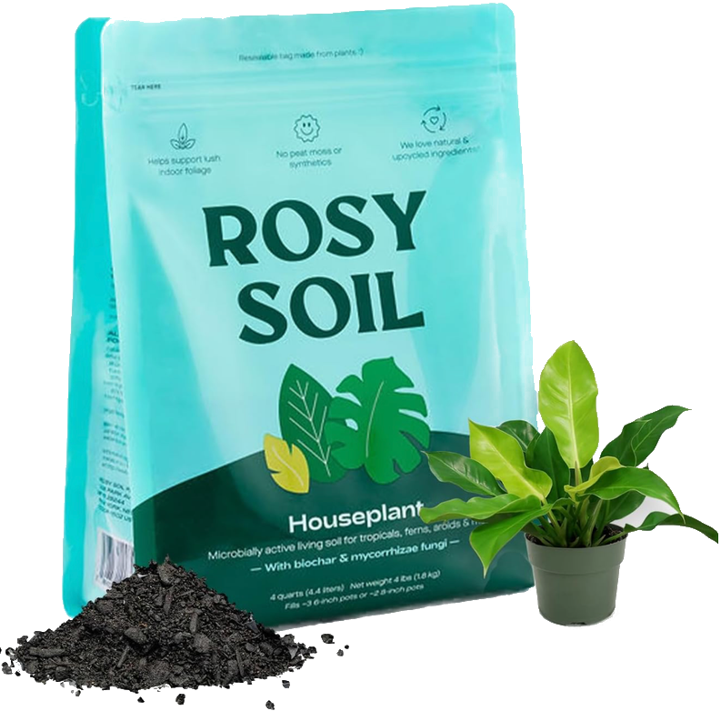 Rosy Soil Potting Mix 4qt