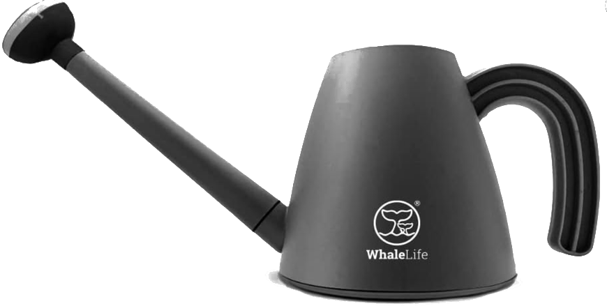 Long Spout Watering Can 2.0L